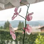 Apartman Im Lamer Winkel *